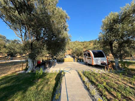 Parstan Akçaya Sınır Cemil Temelde Doğayla İç İçe Hobi Bahçeleri