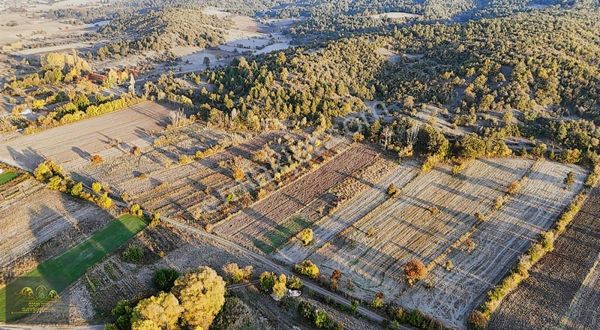 Dora Deresine Ve Çokköye Yakın 502 M2 Fırsat Hobi Bahçesi.
