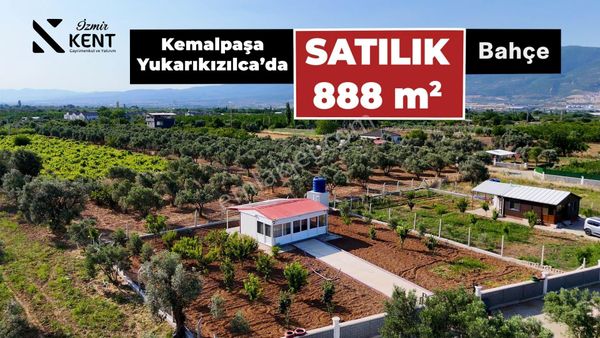 Kemalpaşa Yukarıkızılca Satılık Bahçe 888 M2 | Konterney Ev
