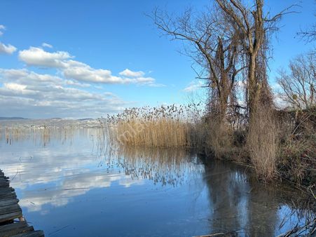 Sapanca Gölüne Sıfır,büyükşehir Proje Alanında! Satılık Arazi