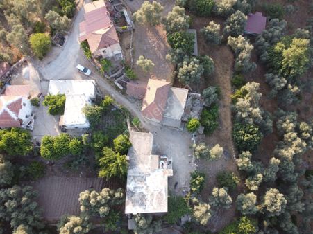 Çakıralan’da Satılık 1218m2 İçinde Müstakil Ev, Ahır Ve Zeytinlik Bahçe