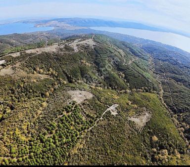 Erdek Yukarıyapıcıda 552 M2 Tek Tapu Deniz Manzaralı Satılık Tarla