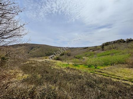 Uğur Şahinden Doğa Cenneti Kandıra'da Kaçmaz Yatırımlık Arazi