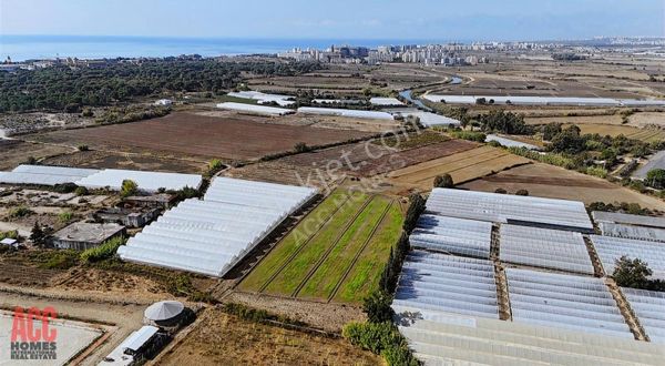 Acc Homes'tan Kundu Hotel Bölgesinde 11500 M2 Yatırımlık Tarla