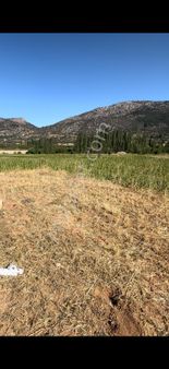 Denizli Çamelide 993 M² Tek Tapu Satılık Tarla