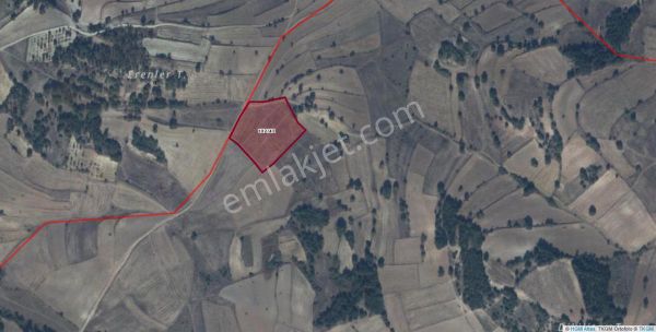 Turyapdan Bilecik Yenipazar Da 8599 M² Tarla