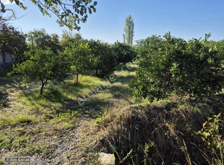 Asil Emlaktan Ortaca Yeşilyurt Mah.de Satılık Arsa