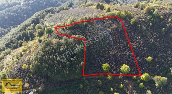 Ruşen Aydın Gayrimenkul'den Kaynaşlı Tavak Köyünde Satılık Arazi