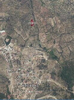 C21 Loca’dan Havdan Kocadağ’da Satılık Zeytinlik