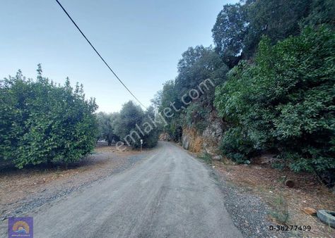 Muğla, Ortaca, Karadonlar Da 1.300 M2 Müstakil 250m2 Konut İmarlı Arsa Satılık