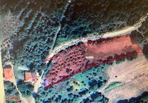 Merkeze 5 Km Kutlubeydemirciler Köyü 3877 M2 Arazi