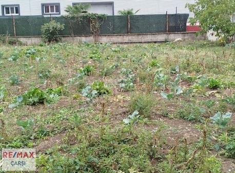 Mondı Fabrıkasına Cephe, Tıcarı Imarlı, Satılık Arsa