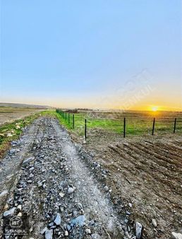 Gelibolu Bolayır'da Deniz Manzaralı 525 M2 Tek Tapu Arsa