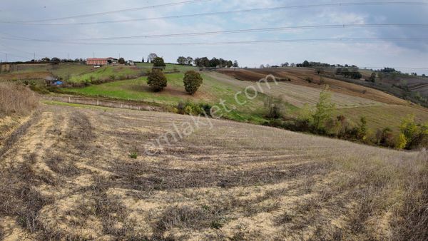 Kocaeli Kandıra Sinanlıbilallıda Açılmış Resmi Yollu 3558m² Satılık Fırsat Arsa