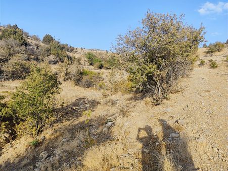 Al Unut Telefon Parasına Arsa Mete Mermer'den