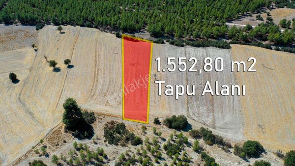 Antalya Korkuteli Akyar Mevki Satılık Yatırımlık Tarla