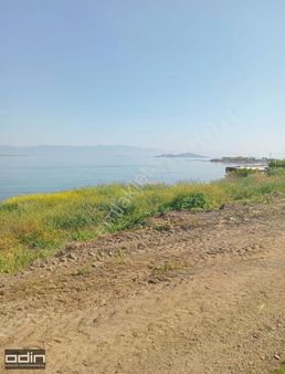 Odin'den Cunda Adasında Full Deniz Manzaralı Yol Cephe Arsa
