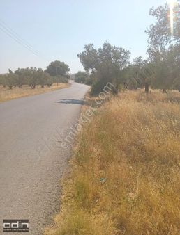 Ayvalık Şirinkent Yolu Üzerinde İmara Girecek İlk Bölgede