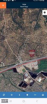 Odin'den Ayvalık Ana Asfalta 2. Parsel Kelepir Zeytinlik