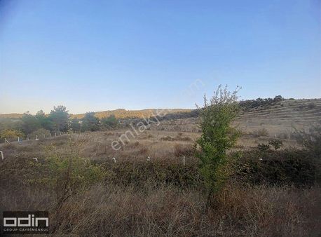 Fırsat Ayvacık Büyükhusun Köyün'de Yola Cephe Satılık Tarla