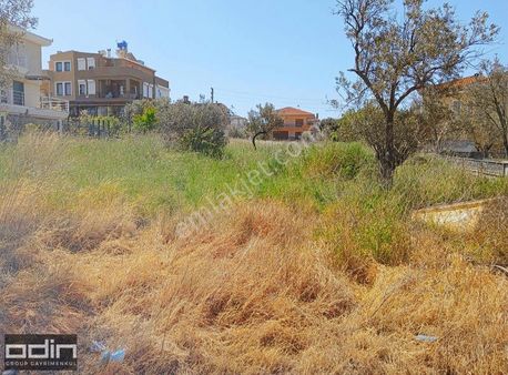 Odin'den Ayvalık Altınova'da İzmir Asfaltına Sıfır Konumlu Arsa