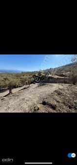 Odin' Den Ayvalık Murateli Köyünde İmarlı