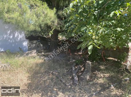 Odin'den Zeytinli'de Konut İmarlı 2,5 Kat Müsadeli 434 Mt2 Arsa