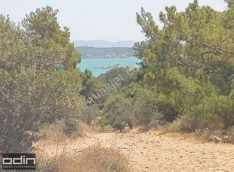 Ayvalık Cunda'da Ortunç Yolu Üzerinde Yola Sıfır Deniz Manzaralı