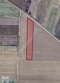 Isparta Gönen Güneykent'te 2058 M2 Acil Satılık Tarla