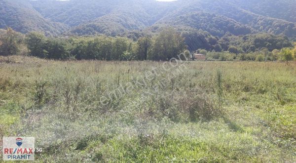 Sakarya Arifiye'de Yatırımlık Satılık 9.681 Tarla..!!