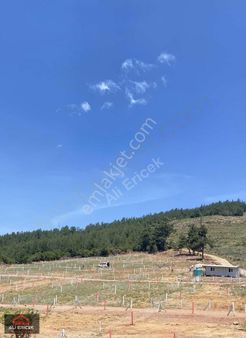 Ulucak Bölgesinde Favori Lokasyonlarda Bahçeler