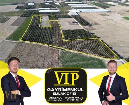 Vip Gayrimenkul'den Bayralar Mah. Elma Ve Armut Bahçesi