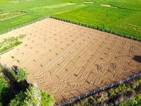 Tire Ye 15 Km Mesafede Satılık Harika Bir Tarla