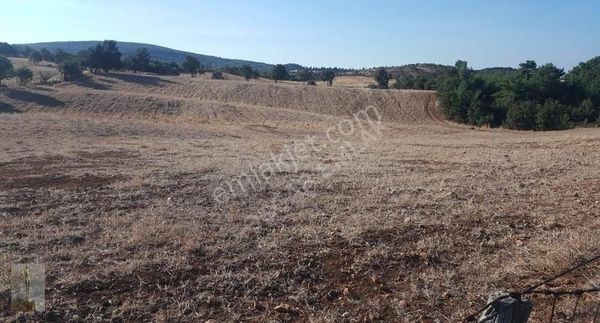 Yukarışapçıda Yatırımlık Araç Ve Daire Takaslı