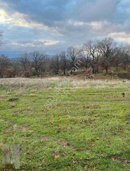 Köselerde Fırsat Arsa Takaslı