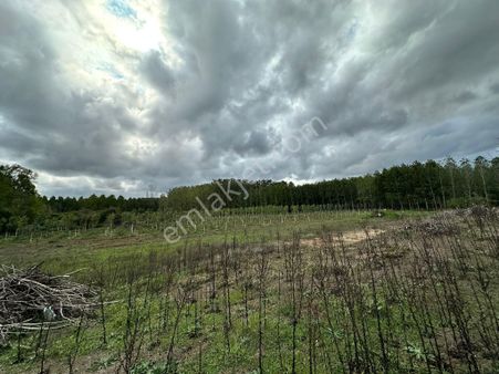 Karasu Denizköy | Düz Zeminli Sanayi Arsası Yatırıma Uygun