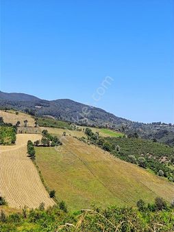 Halilbey Köy'ünde Köy İçi Satılık Tarla!!!