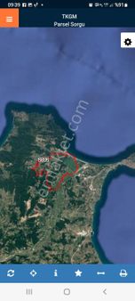 Sinop Dibekli Mahallesinde Yol Kenarında Atalay Emlak Tan Satılık Tarla