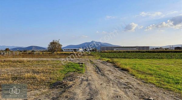 İzmir Torbalı Çaybaşı Mahallesinde İmarlı Arsa