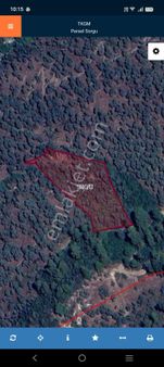 Akbük Realty World Doğa Gayrimenkul Güvencesiyle Çok Zeytin Ağaçlı Kelepir Zeytinlik