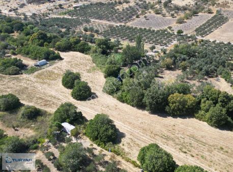Turyap'tan Kalabakta Konteyner Konulabilen Tarla