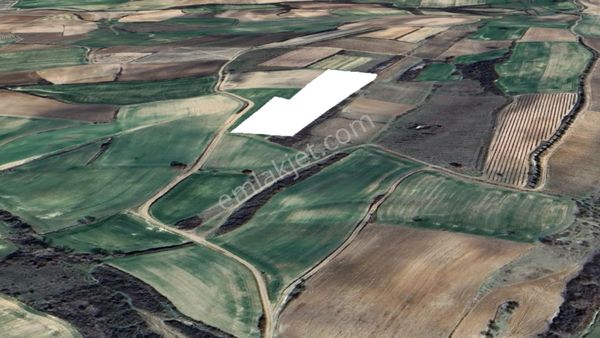 Edirne İpsala Sarpdere-satılık Tarla-iyi Bir Yatırım-15.600 M2