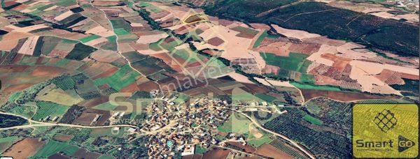 Karacabey Doğla'da 25.250 M² Satılık Tarla