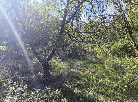 Yalova Çukurköyde Merkezi Yerde Satılık 12745 Mt Yer