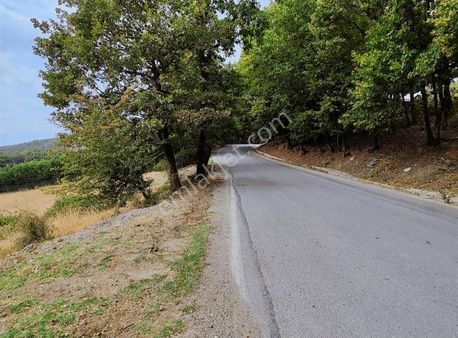 Yalova Güneyköyde 24406 Mt Kaçırılmayacak Müstakil Parsel