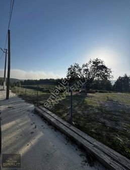 Koku Vadisinde Satılık Arazi