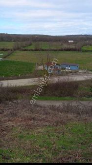 Sinop Atalay Emlaktan Dibekli Köyünde Satılık Arsa