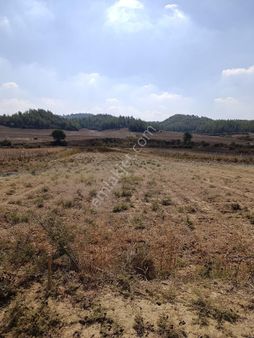 Ay Gayrimenkul'den Akkuyuda 800 M2 Yeri Belli