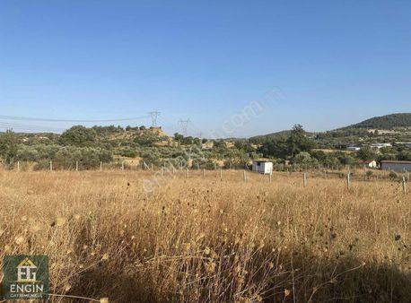 Çamlıcada Hisse Tapulu Bahçe