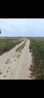 Yatırımlık Arsa Fırsatı Tekirdağ Kapaklı Yanıkağıl'da 187 M2